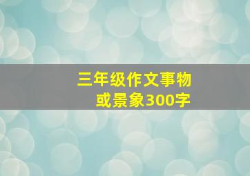 三年级作文事物或景象300字