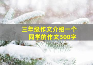 三年级作文介绍一个同学的作文300字