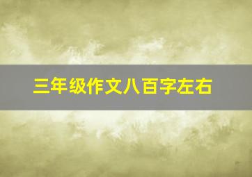 三年级作文八百字左右