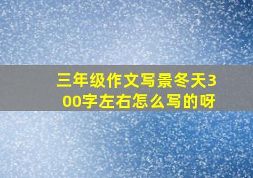 三年级作文写景冬天300字左右怎么写的呀