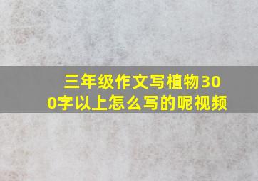 三年级作文写植物300字以上怎么写的呢视频