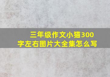 三年级作文小猫300字左右图片大全集怎么写