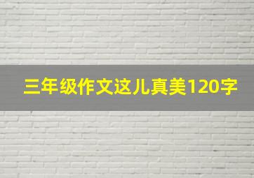 三年级作文这儿真美120字