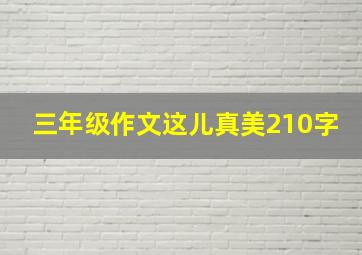 三年级作文这儿真美210字