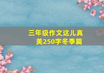 三年级作文这儿真美250字冬季篇