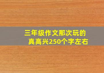 三年级作文那次玩的真高兴250个字左右