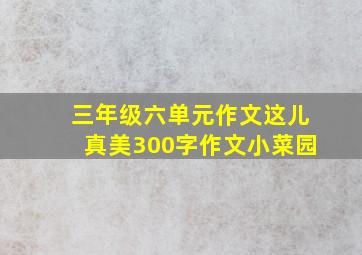 三年级六单元作文这儿真美300字作文小菜园