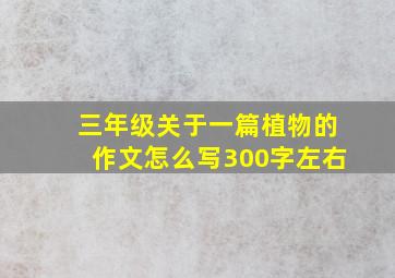 三年级关于一篇植物的作文怎么写300字左右