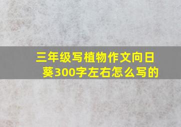 三年级写植物作文向日葵300字左右怎么写的