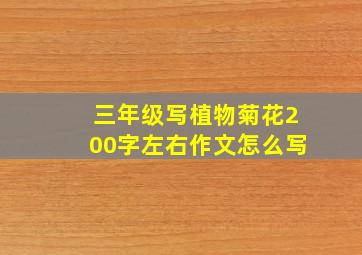 三年级写植物菊花200字左右作文怎么写