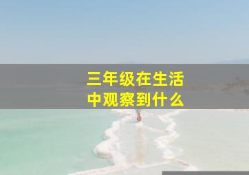 三年级在生活中观察到什么