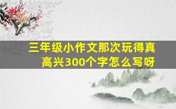 三年级小作文那次玩得真高兴300个字怎么写呀