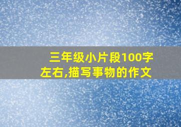 三年级小片段100字左右,描写事物的作文