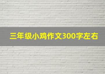 三年级小鸡作文300字左右