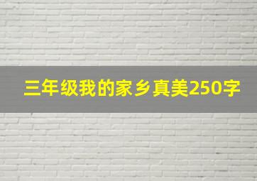 三年级我的家乡真美250字