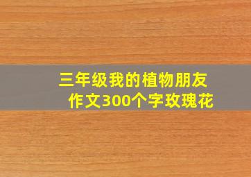 三年级我的植物朋友作文300个字玫瑰花