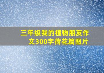 三年级我的植物朋友作文300字荷花篇图片