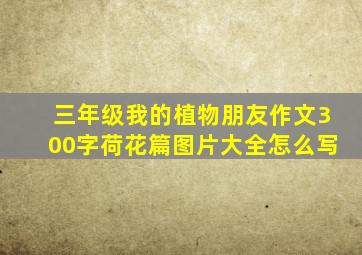 三年级我的植物朋友作文300字荷花篇图片大全怎么写