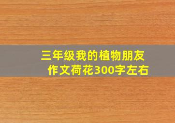 三年级我的植物朋友作文荷花300字左右