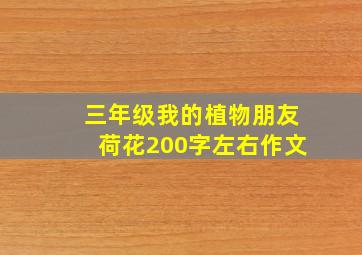 三年级我的植物朋友荷花200字左右作文