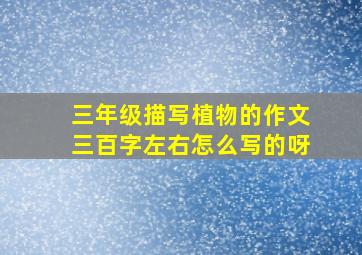 三年级描写植物的作文三百字左右怎么写的呀