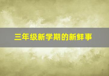 三年级新学期的新鲜事