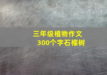 三年级植物作文300个字石榴树