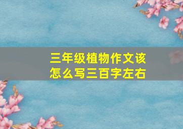 三年级植物作文该怎么写三百字左右