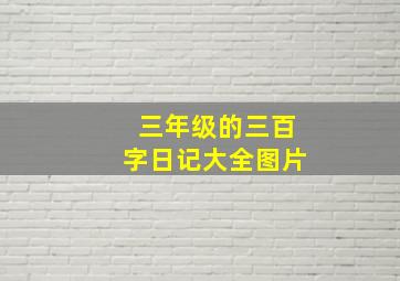 三年级的三百字日记大全图片