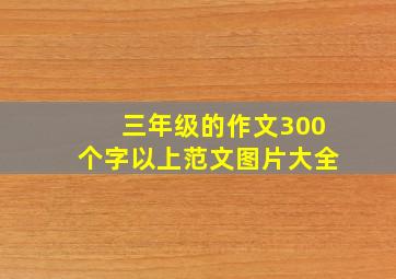 三年级的作文300个字以上范文图片大全