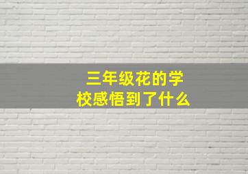 三年级花的学校感悟到了什么