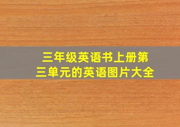 三年级英语书上册第三单元的英语图片大全