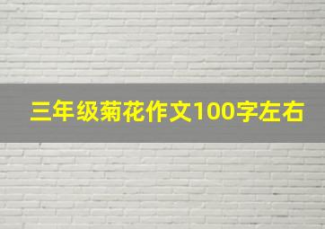 三年级菊花作文100字左右