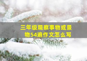 三年级观察事物或景物54遍作文怎么写