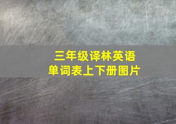 三年级译林英语单词表上下册图片