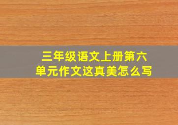 三年级语文上册第六单元作文这真美怎么写