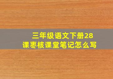 三年级语文下册28课枣核课堂笔记怎么写