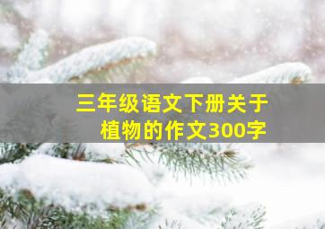 三年级语文下册关于植物的作文300字