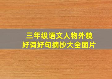 三年级语文人物外貌好词好句摘抄大全图片