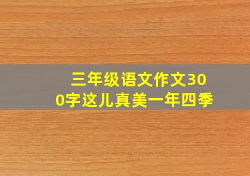 三年级语文作文300字这儿真美一年四季