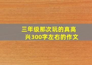 三年级那次玩的真高兴300字左右的作文