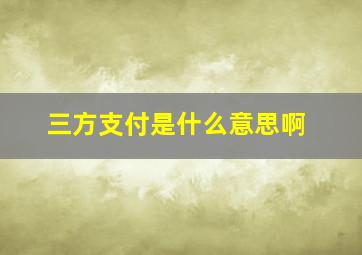 三方支付是什么意思啊