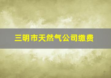 三明市天然气公司缴费