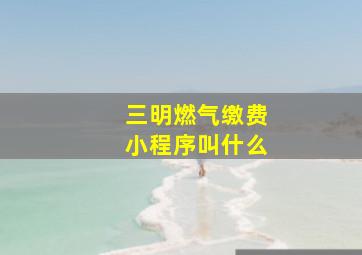 三明燃气缴费小程序叫什么