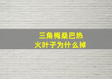 三角梅桑巴热火叶子为什么掉