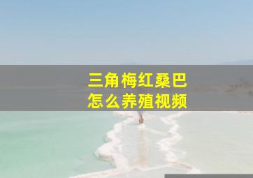 三角梅红桑巴怎么养殖视频