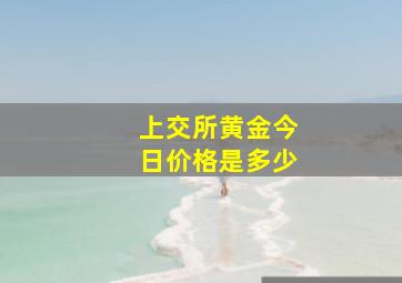 上交所黄金今日价格是多少