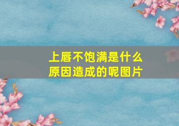 上唇不饱满是什么原因造成的呢图片