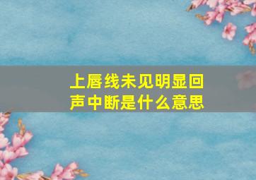 上唇线未见明显回声中断是什么意思