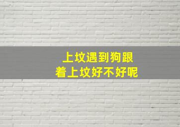 上坟遇到狗跟着上坟好不好呢